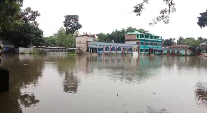 বিদ্যালয় পরিদর্শনে ইউএনও, জলাবদ্ধতা নিরসনের আশ্বাস - Chief TV