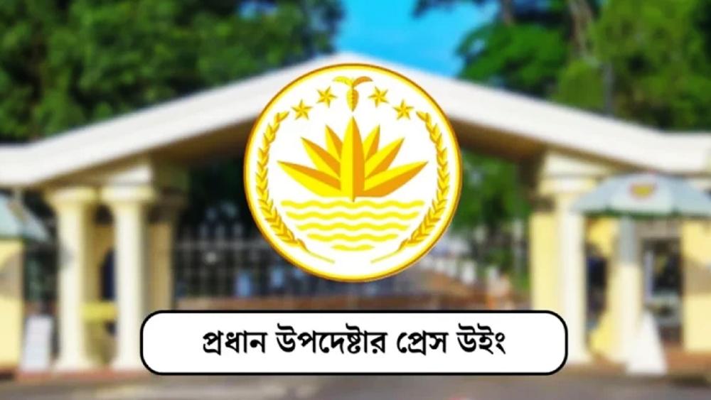 গণভোটের পর আসলেই কি সরকারের মেয়াদ বাড়ছে - Chief TV