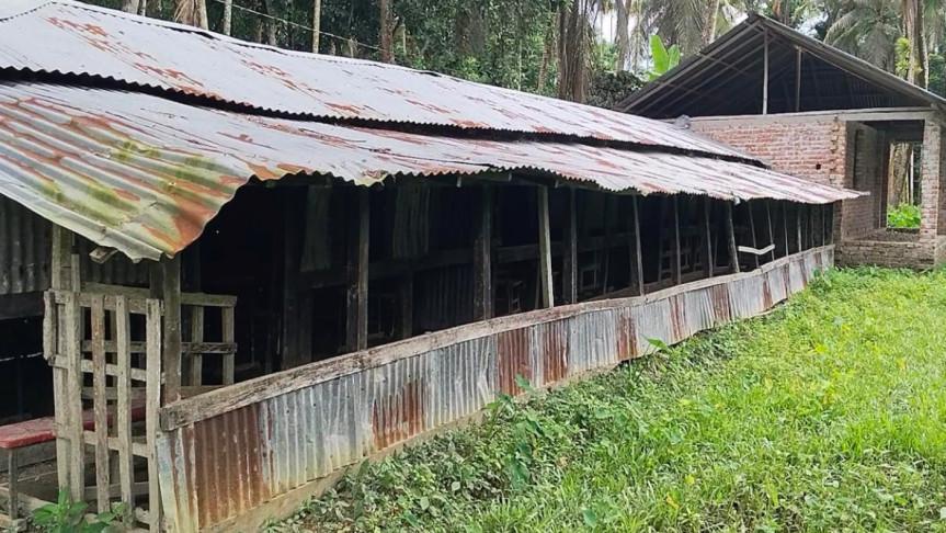 কাগজে ১১০ শিক্ষার্থী, বাস্তবে নেই একজনও, শ্রেণিকক্ষে ঘুরে বেড়াচ্ছে ছাগল! - Chief TV
