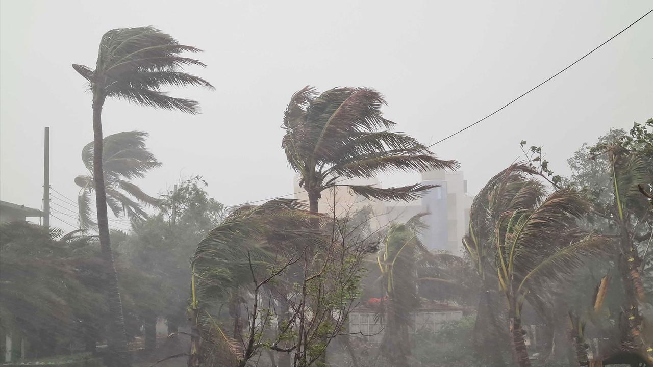 সন্ধ্যার মধ্যে ৭ জেলায় ঝড়-বৃষ্টির সতর্কতা-chief tv