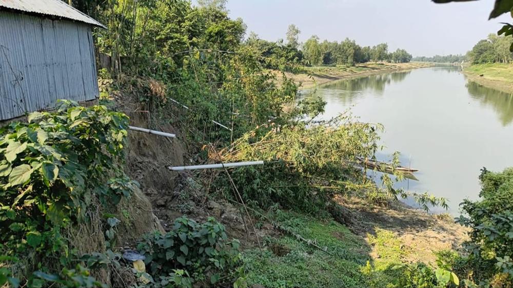 বগুড়ার শেরপুরে অপরিকল্পিত খননে বাঙালী নদীর ভাঙন, অর্ধশত বসতবাড়ি বিলীন - Chief TV