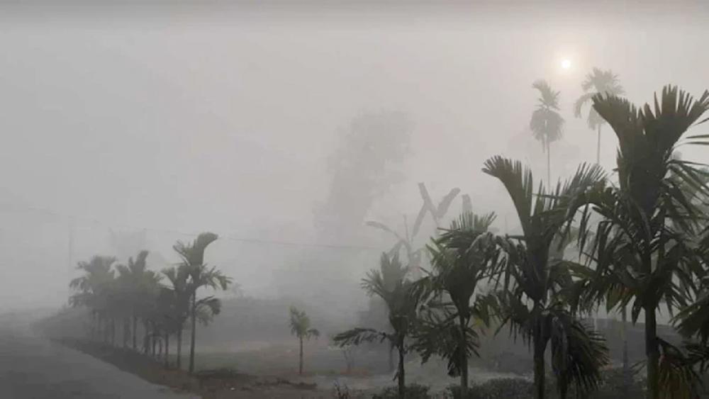 মৌসুমের প্রথম শৈত্যপ্রবাহ শুরু হতে পারে ১৪ ডিসেম্বর - Chief TV