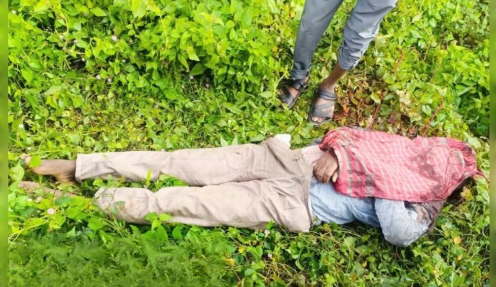 বগুড়ায় অটোরিকশা চালকের গলাকাটা মরদেহ উদ্ধার- Chief TV