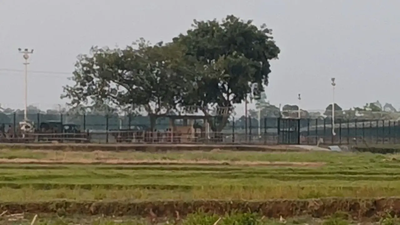 লালমনিরহাট সীমান্তে পুশইনে ব্যর্থ হয়ে বিএসএফের ককটেল বিস্ফোরণ - Chief TV