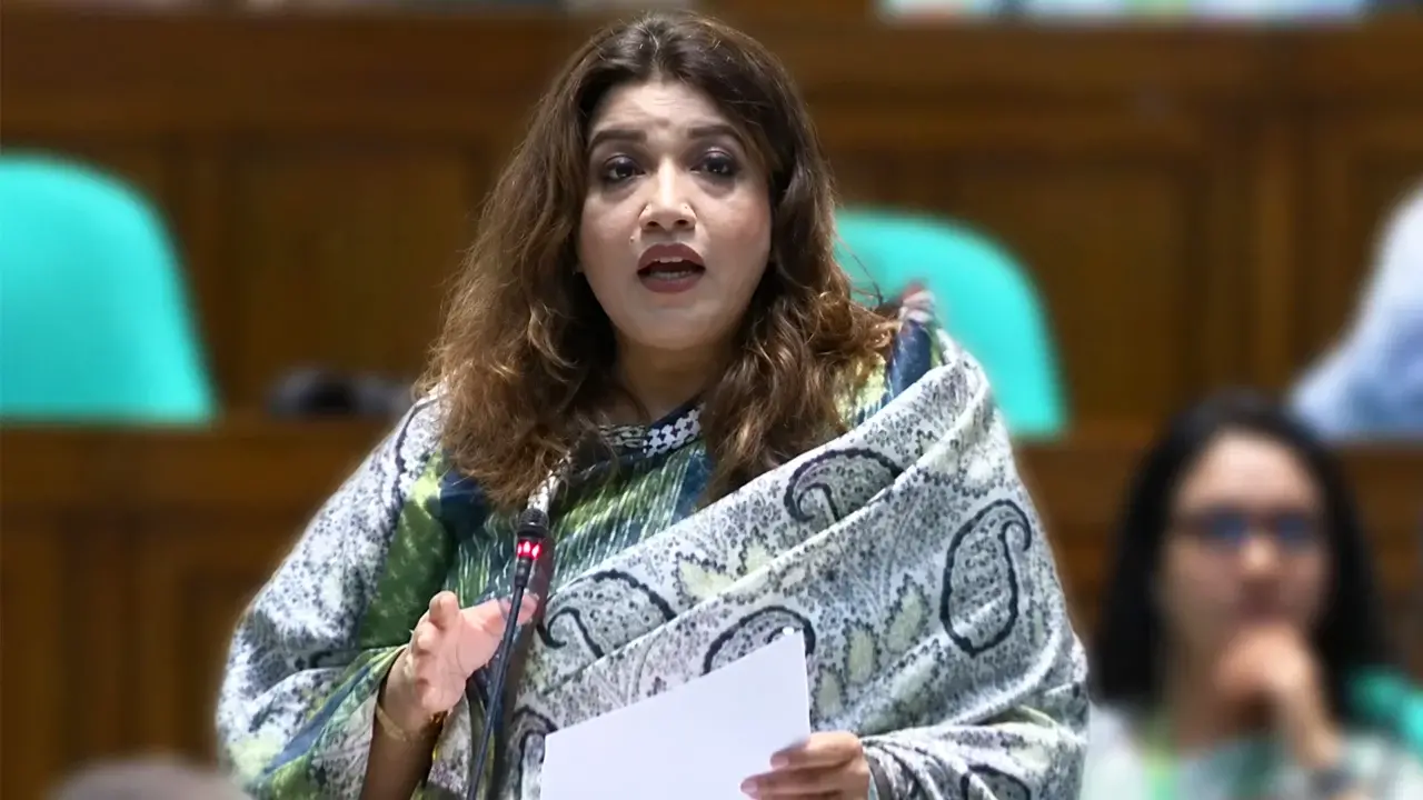 বিএনপি সরকারের পক্ষেই এ বাজেট বাস্তবায়ন সম্ভব - chief tv