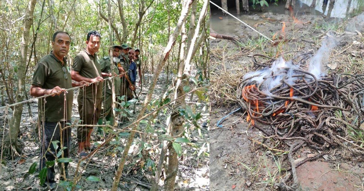 সুন্দরবনে সক্রিয় ১৫০ বন্যপ্রাণী শিকারি: গোয়েন্দা নজরদারিতে অপরাধী চক্র - Chief TV